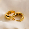 Premium Quality Gold Plated Stainless Steel Earrings for Women