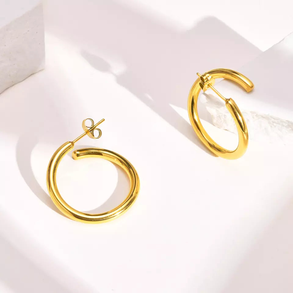 Premium Quality Gold Plated Stainless Steel Earrings for Women