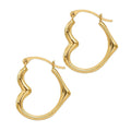 Premium Quality Gold Plated Stainless Steel Earrings for Women