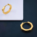 Premium Quality Gold Plated Stainless Steel Earrings for Women